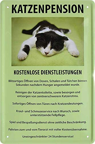 Katzen_pension