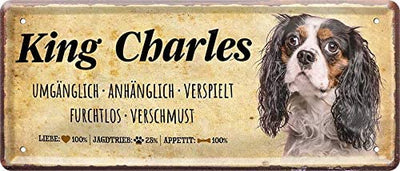 King_charles