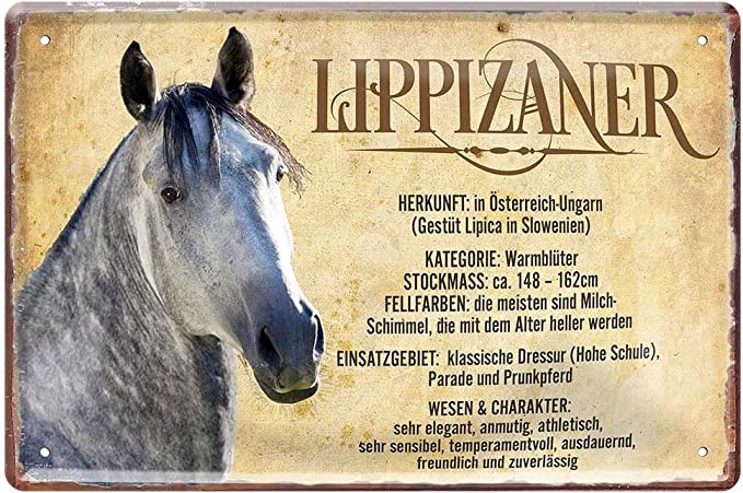 Lippizaner