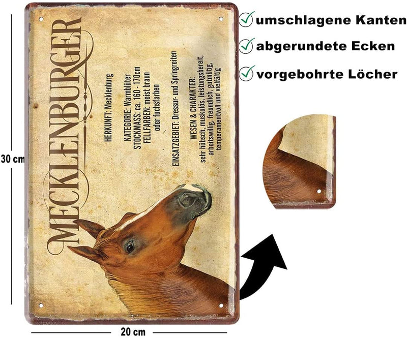 Mecklenburger_beschreibung