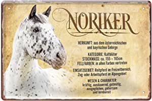 Noriker