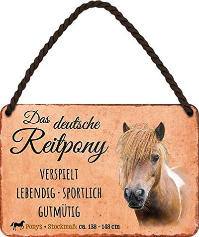 Reitpony