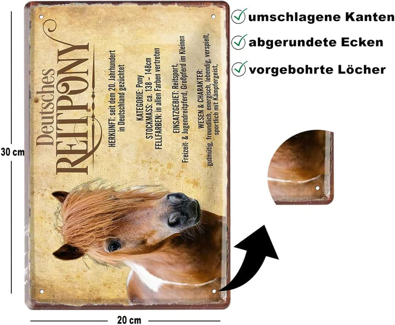 Reitpony_beschreibung