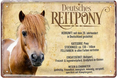 Reitpony