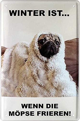 Winter_ist_wenn_die_moepse_frieren
