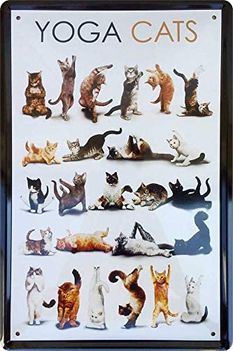 Yoga_cats