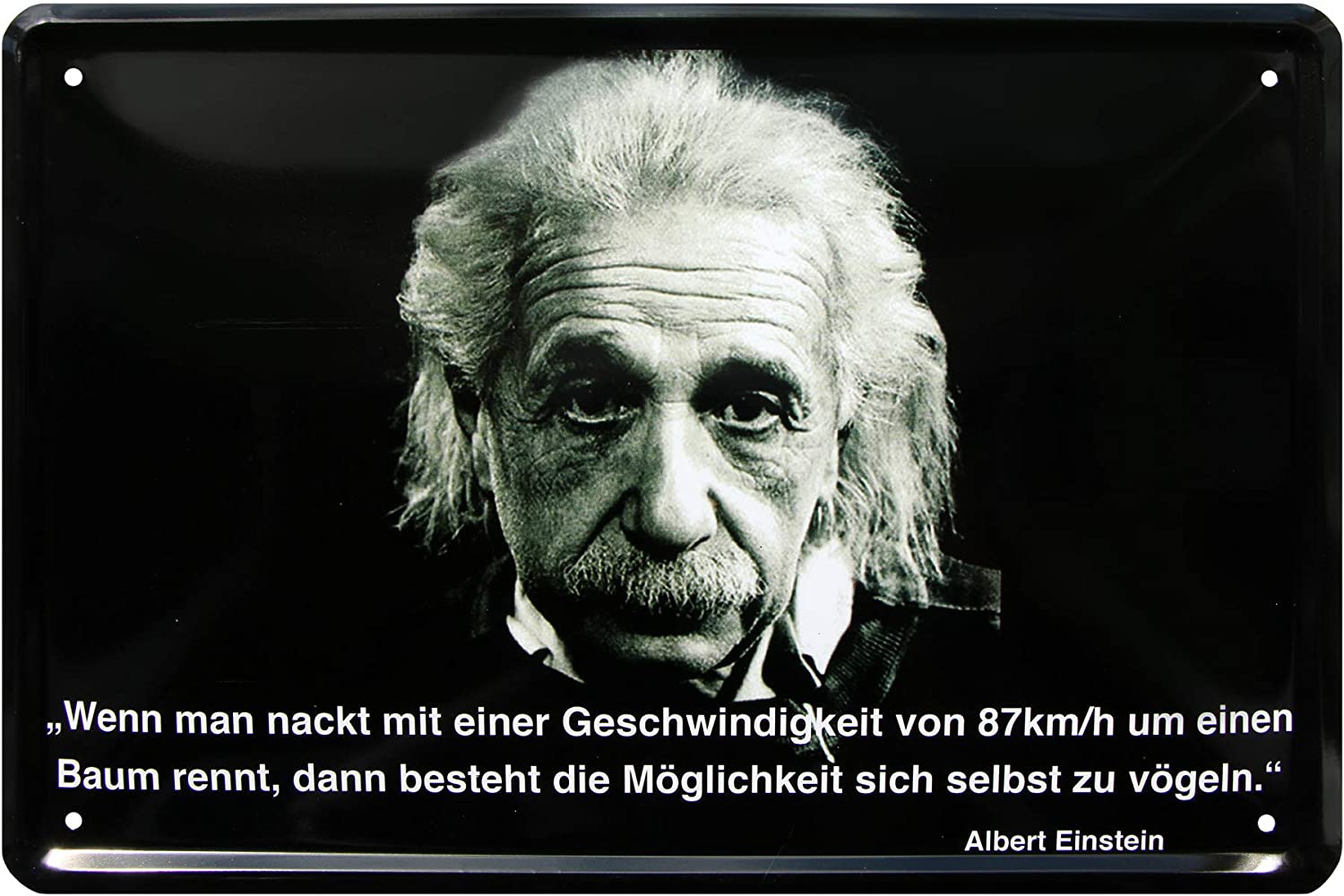 albert_20x30cm_blechschild