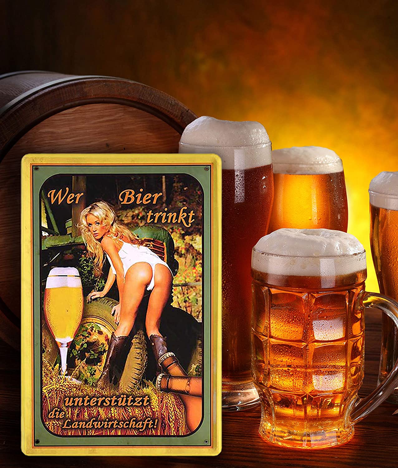 bier_blechschild_20x30cm_glas