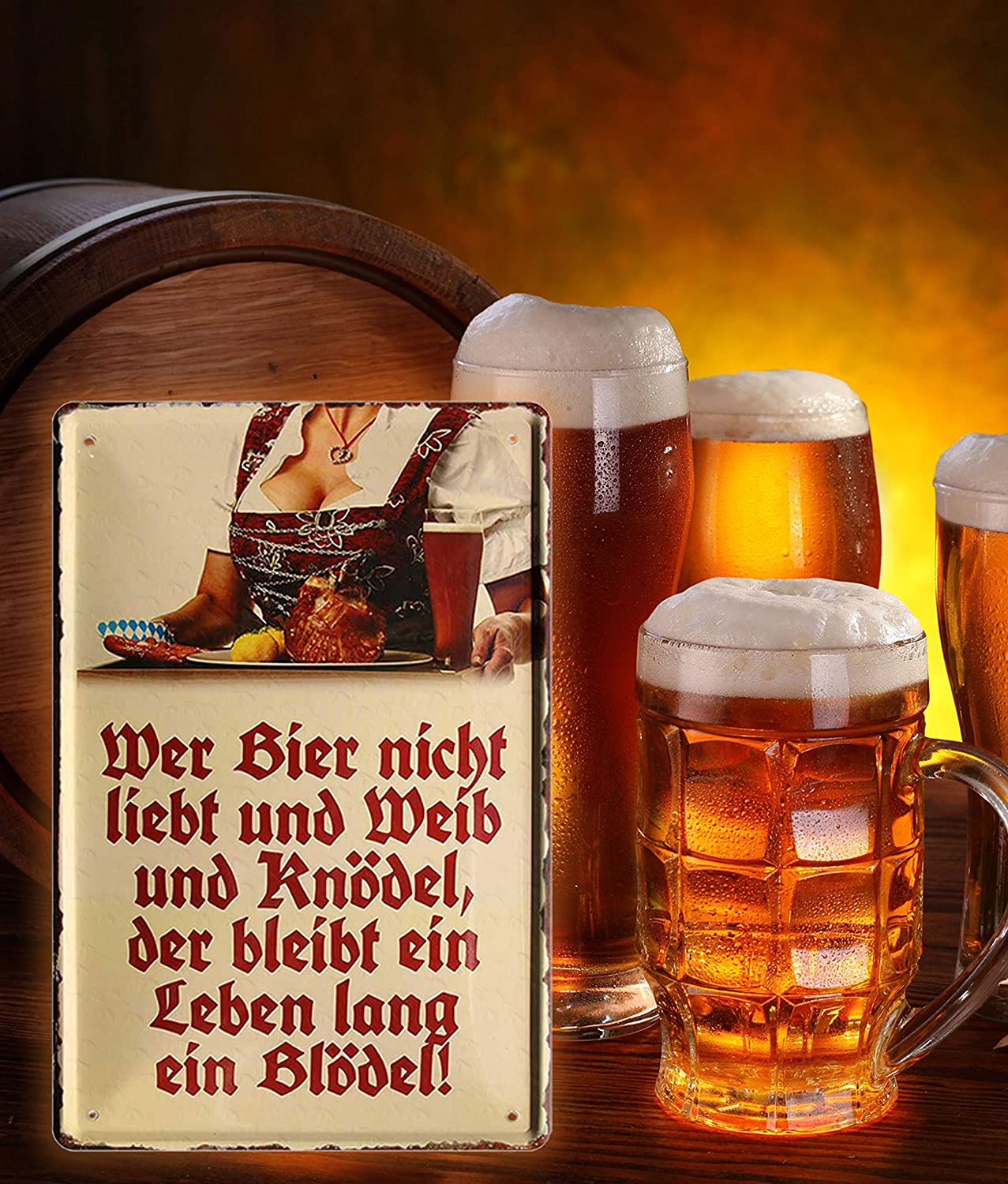 Blechschilder Bier lustiger Spruch “Wer Bier Nicht liebt” Geschenkidee