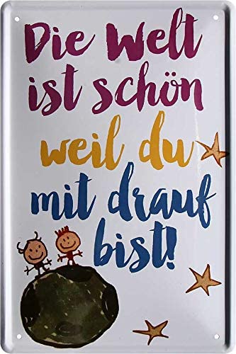 blechschild-20x30cm-die-welt-schoen