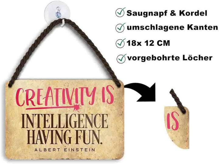 Blechschild Albert Einstein Spruch “Creativity is...” 18x12cm