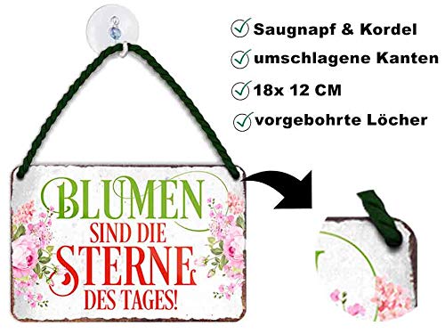 blechschild_sterne_blume_beschreibung