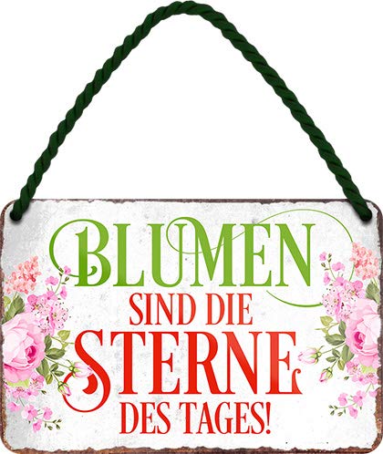 blechschild_sterne_blume_weiss