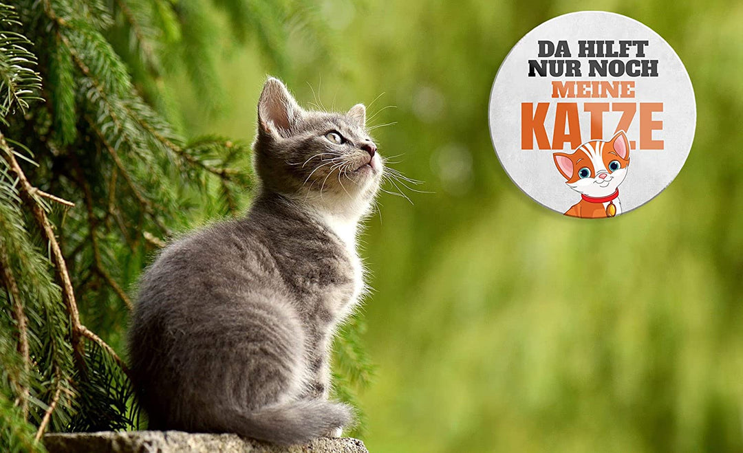 da_hilft_nur_noch_meine_katze_magnet_deko