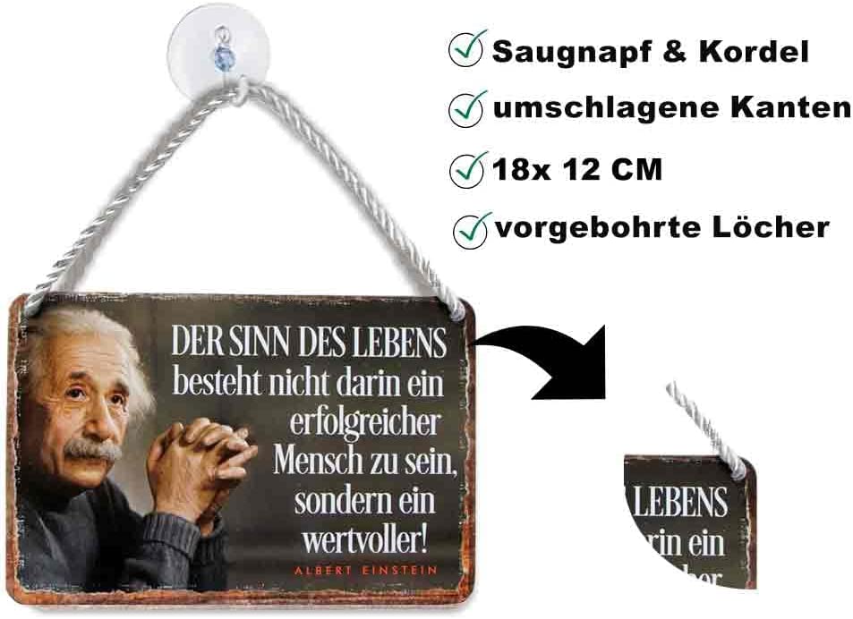 der_sinn_des_lebens_albert_beschreibung