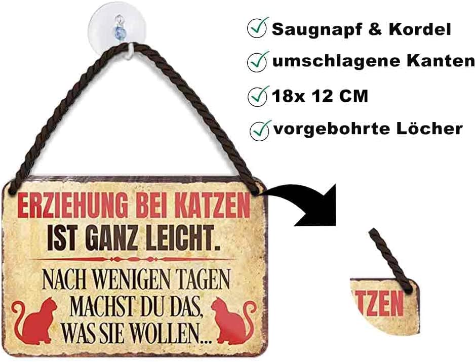 erziehung_bei_katzen_beschreibung
