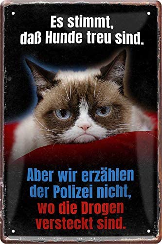 es_stimmt_dass_katze