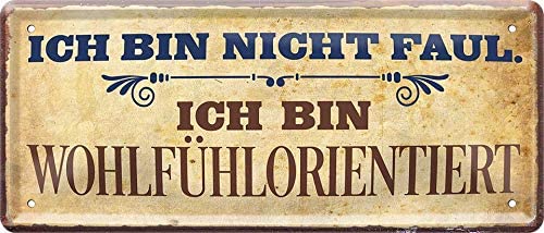 faul_blechschild_28x12cm