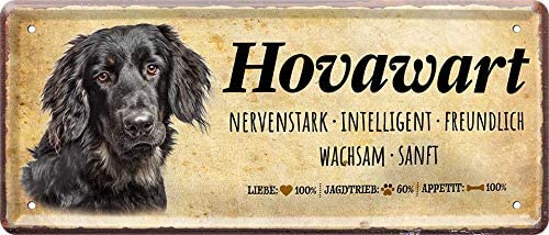 hovawart