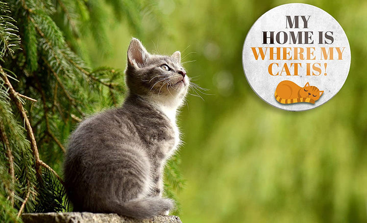 my_home_is_where_my_cat_is_magnet_deko