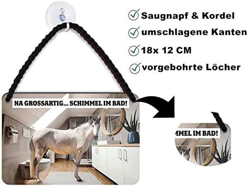 na_grossartig_schimmel_im_bad_beschreibung
