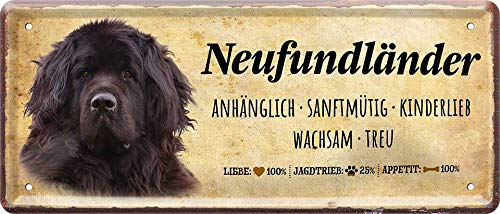 neufundlaender