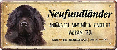 neufundlaender