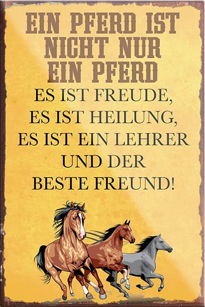 nicht_ein_pferd_magnet
