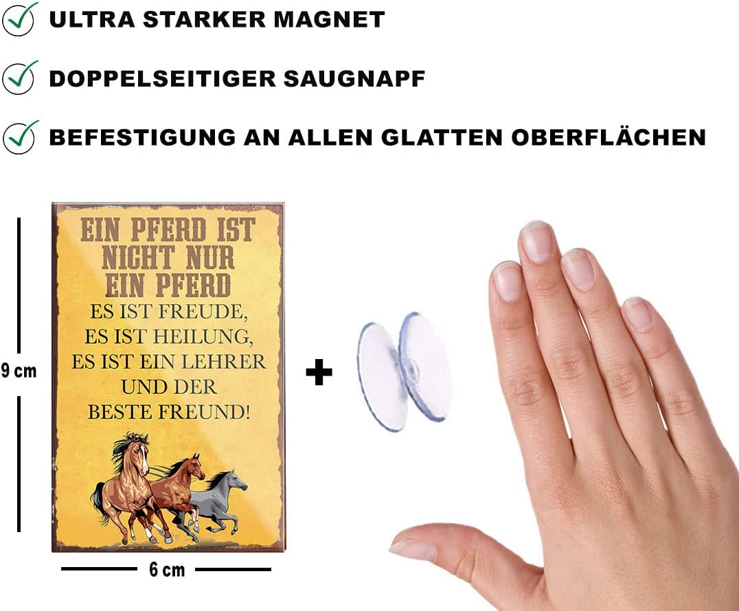 nicht_ein_pferd_magnet_beschreibung