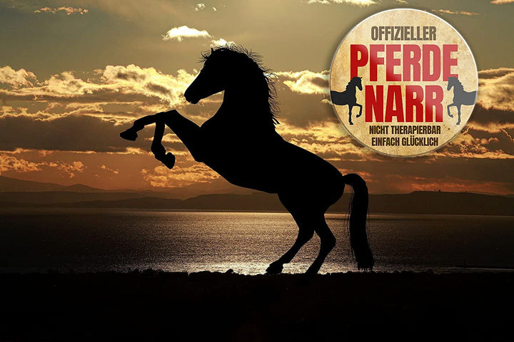 offizieller_pferde_narr_magnet_deko