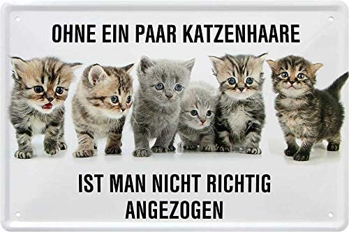 ohne_ein_paar_katzenhaare