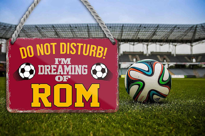 rom_blechschild_18x12cm_ball