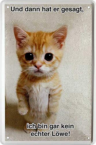 und_dann_hat_er_gesagt_Katze