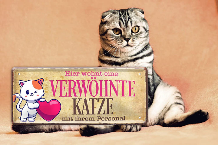 verwoehnte_katze_deko