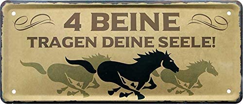 vier_beine_tragen_deine_seele_pferd