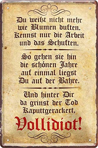 vollidiot_blechschild_20x30cm