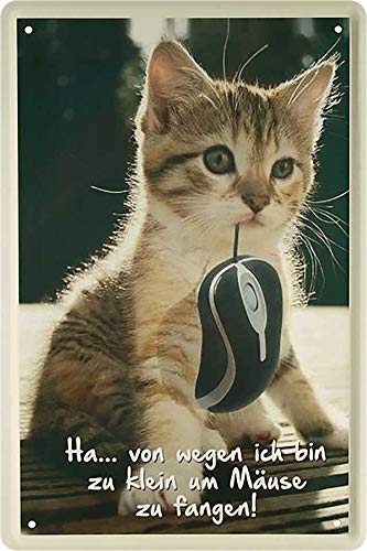 von_wegen_ich_bin_zu_klein_um_maeuse_zu_fangen_katze