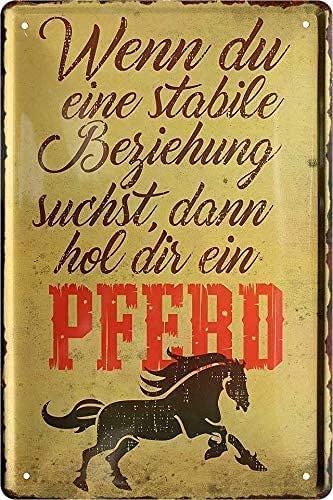wenn_eine_stabile_beziehung_pferd