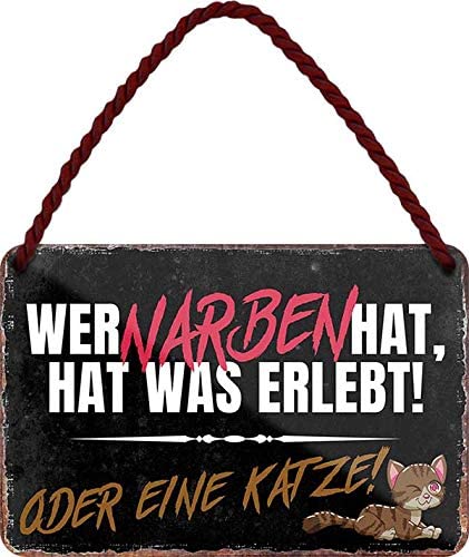 wer_narben_hat_hat_was_erlebt_katze
